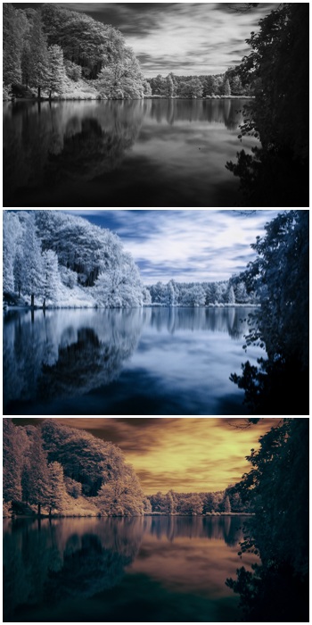 Triptych showing the same photo with three different styles of infrared photography editing