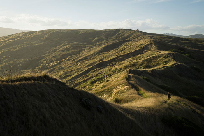 A person walking through a grassy hilly landscape near sunset for road trip photography