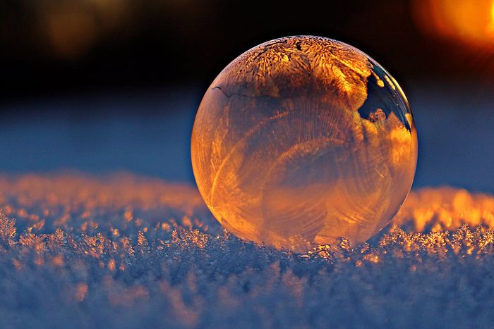 close-up photo of a soap-bubble reflecting snowflakes