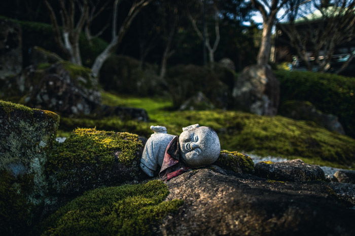 Photo of a buddha statue on a field with bokeh effect