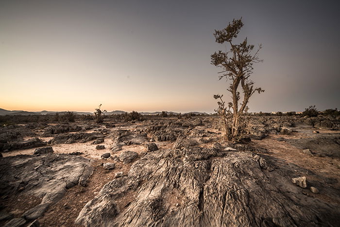 A barren and rocky landscape at sunset