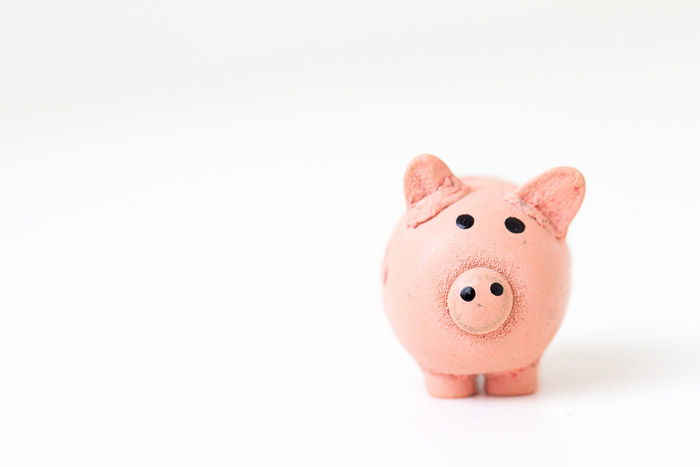 A toy pig on white background 