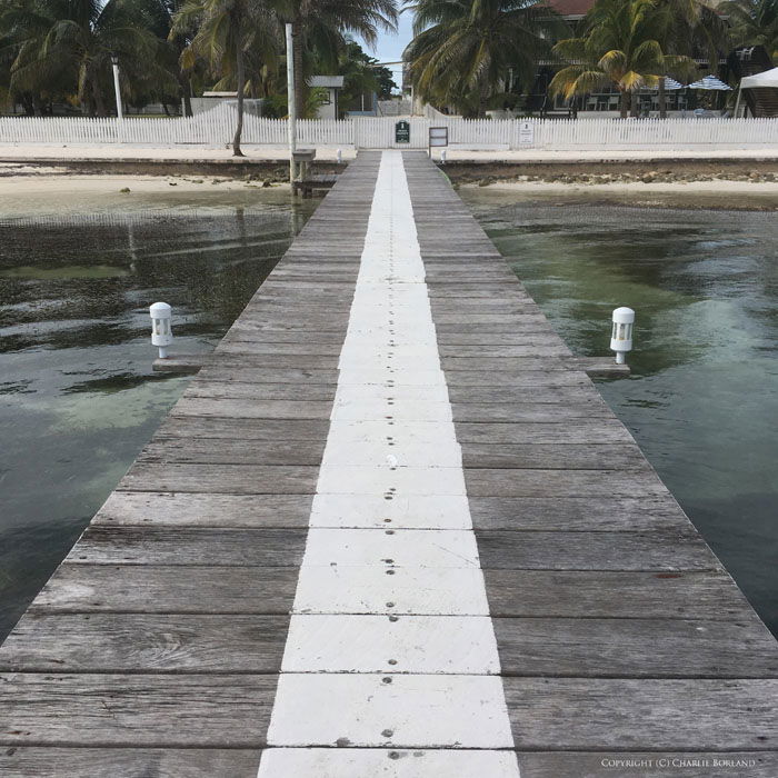 A wooden pier taken with iPhone photography