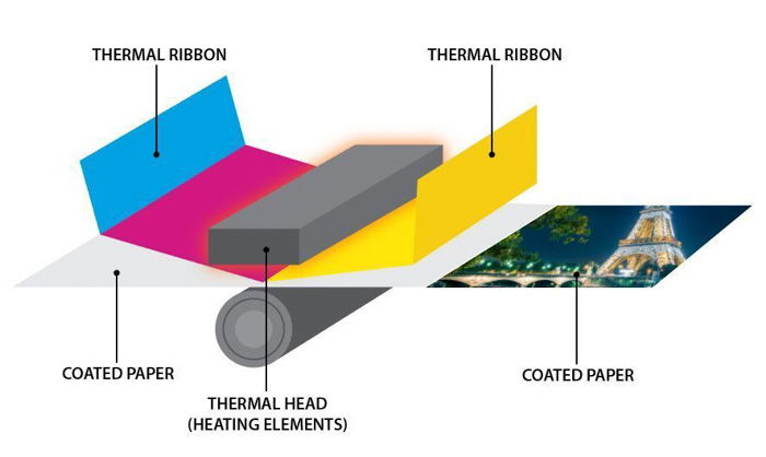 diagram of thermal printer