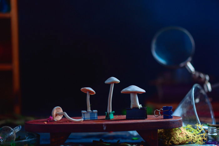 Small mushrooms clipped onto a tiny red table for a still-life smoke photography shoot