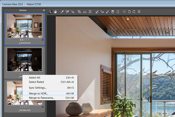 Screenshot of Adobe Camera Raw HDR bracketing merge