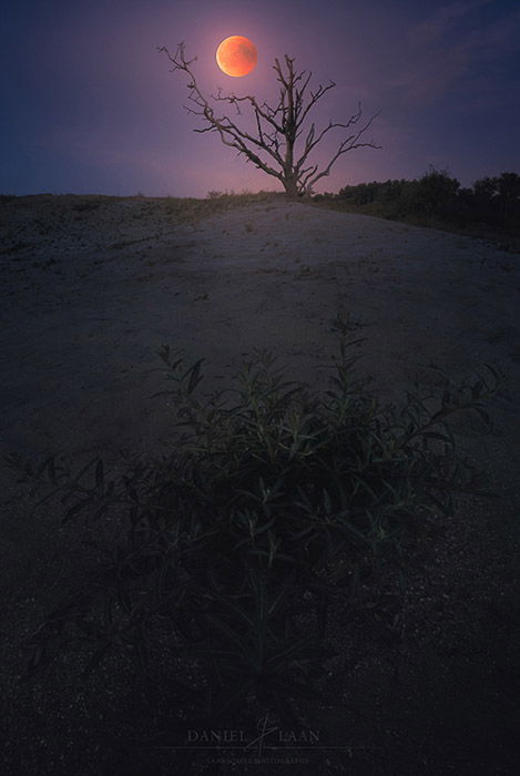 A blood moon over a dramatic night landscape