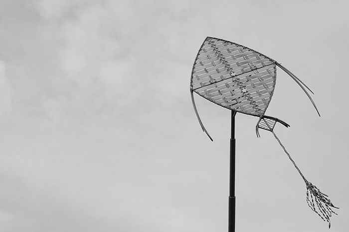 monochrome image of a kite against a cloudy sky - best camera settings for black and white