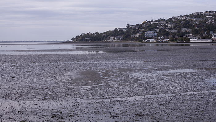 A monochrome shot of an estuary - best camera settings for black and white photography