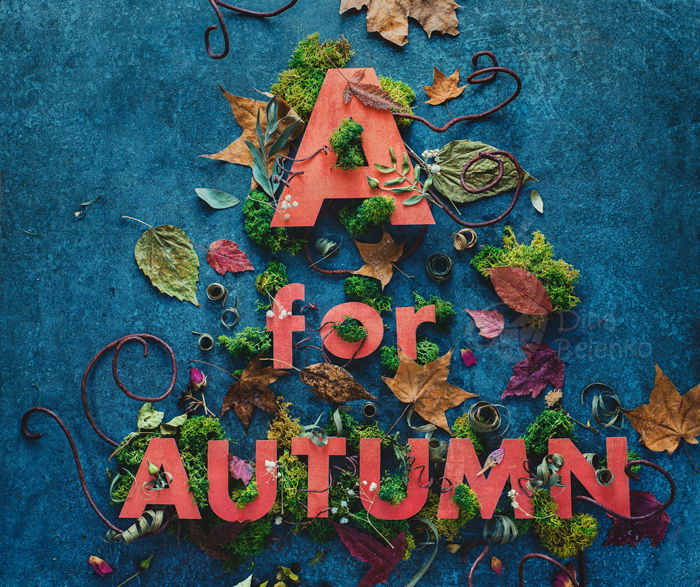 creative photo background alternatives: Red letters surrounded by flowers and leaves against a teal blue background