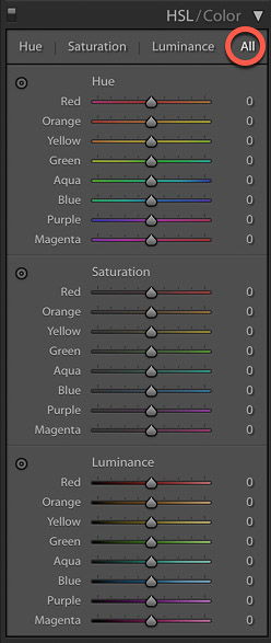 screenshot of adjusting the HSL of an image on Lightroom for product photography editing