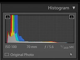 screenshot of a camera histogram