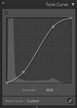 screenshot of adjusting the tone curve of an image on Lightroom for product photography editing