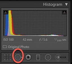 screenshot of a camera histogram