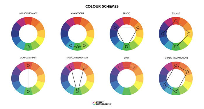 A diagram explaining color theory for better food photos