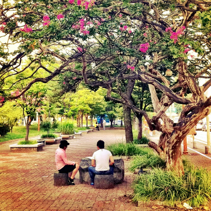 Brighta nd airy smartphotne street photo of people sitting under a tree