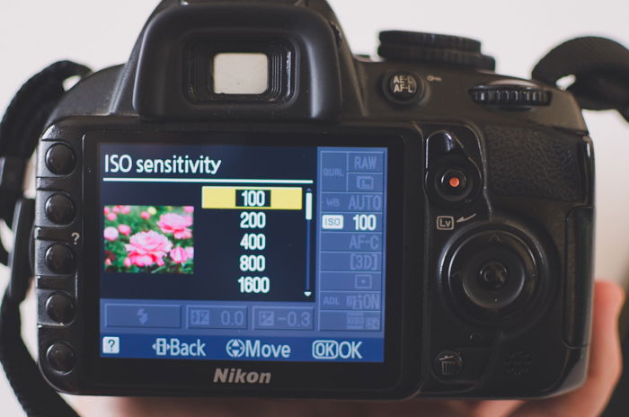 ISO camera menu settings on a Nikon for learning DSLR basics