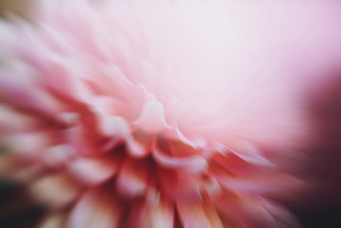 Artistic impressionist photography of a blurry pink flower