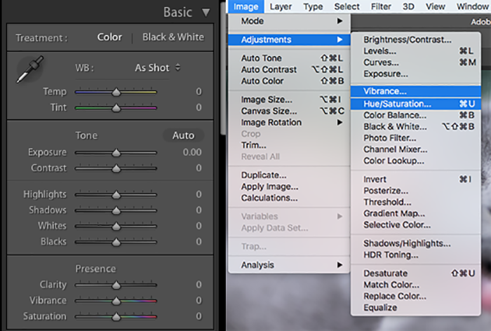 Screenshot of adjusting vibrance and saturation in Lightroom