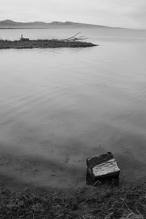 Te Waihora (Lake Ellesmere) in Canterbury, New Zealand. Black and white photography tips