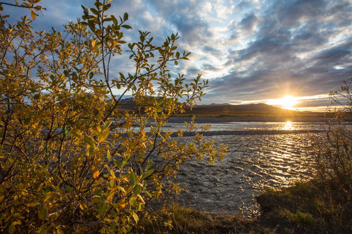 A calm fall landscape shot of mountains and water, with foliage in the foreground