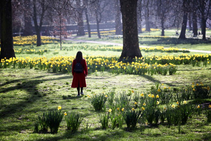 Bright and airy photo in a London park