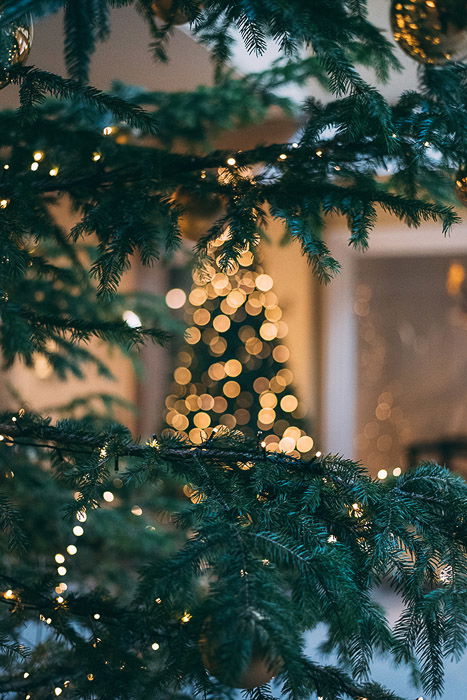 A christmas tree with beautiful bokeh effect background