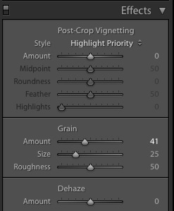 A screenshot showing how to use the effects panel to achieve the Film Photography look