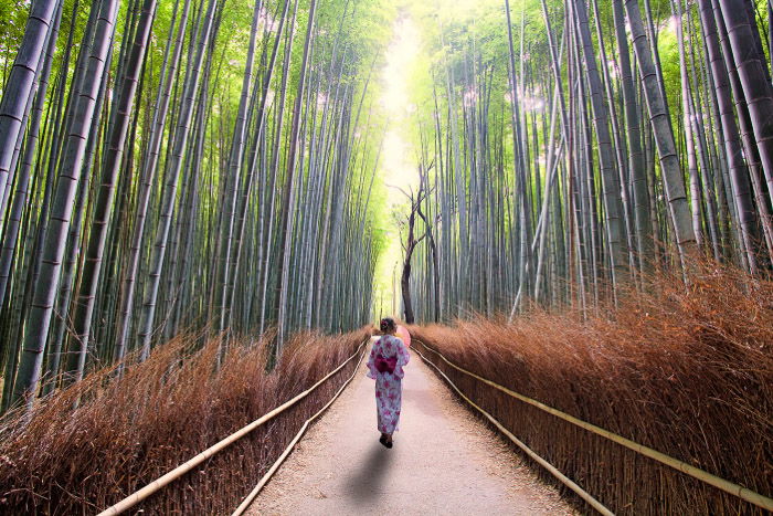 A girl in traditional japanese dress walking through a bamboo forest,