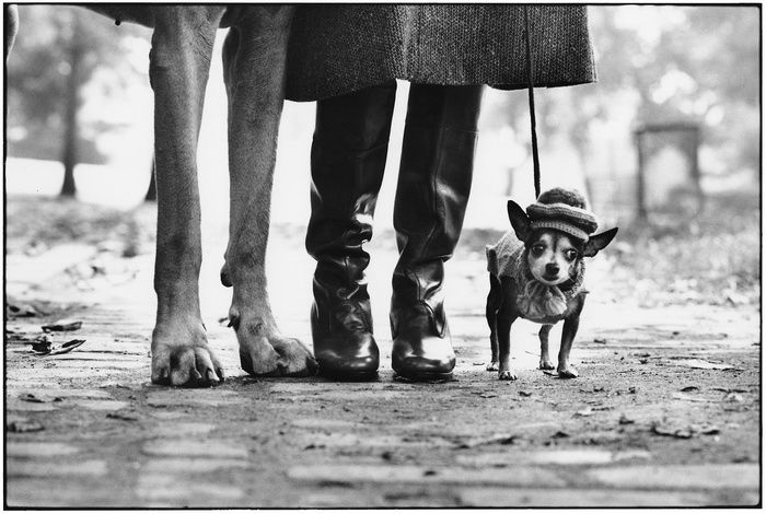 New York City - Elliott Erwitt