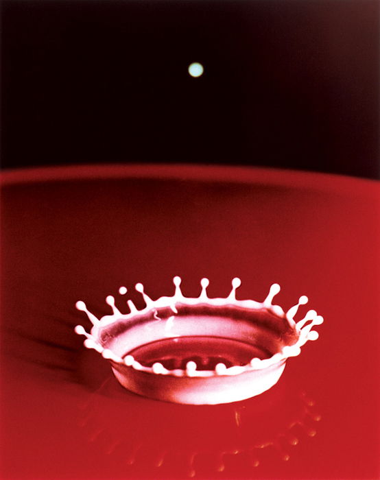 Milk Drop, iconic photos by Harold Edgerton (1957)