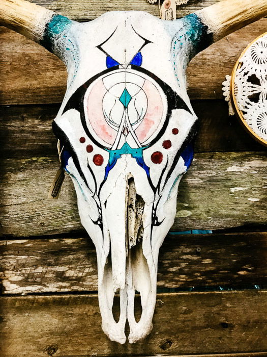 A painted deer skull shot using iPhone camera