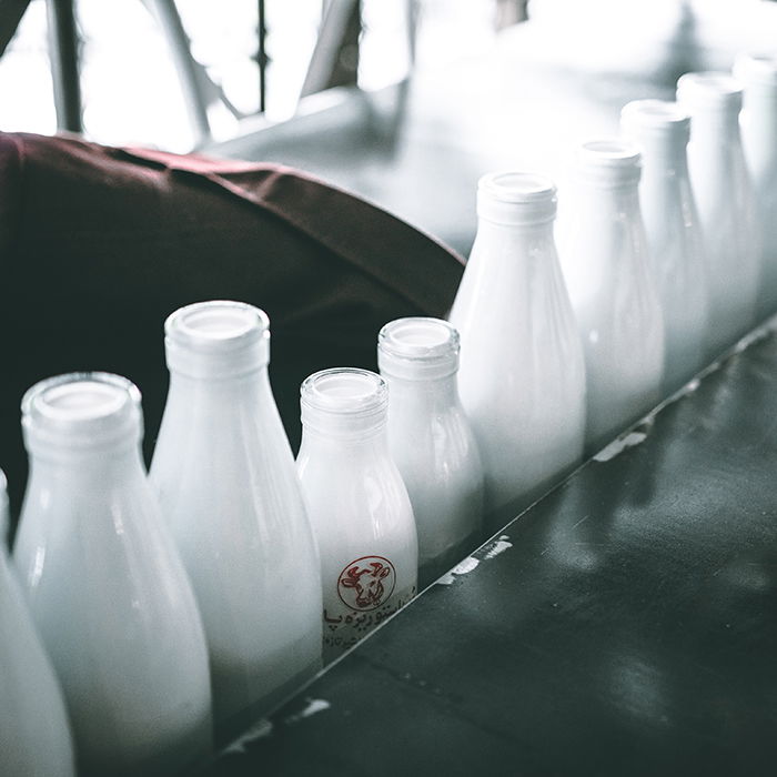 A row of different sized milk bottles 