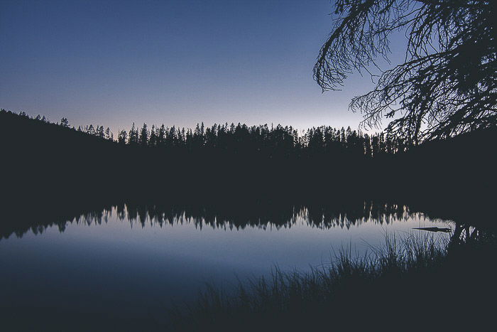 Beautiful low light reflection photography of silhouettes of trees over and reflecting in a lake