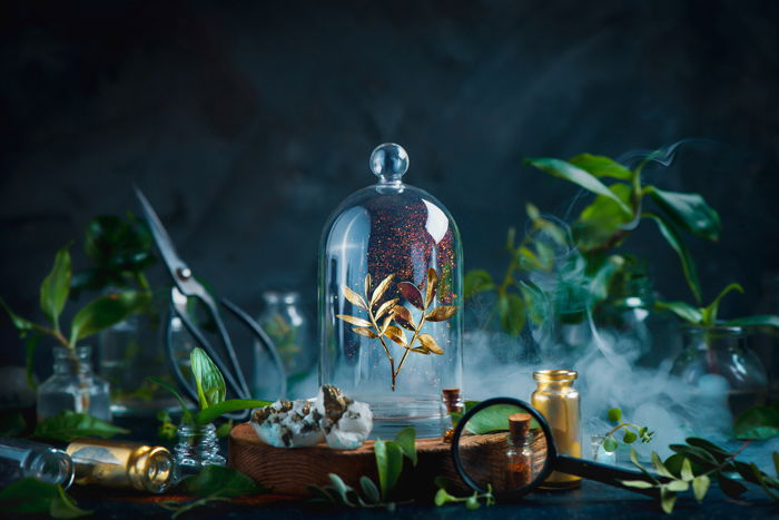 A magical still life composition highlighting use of contrasting colors in photography