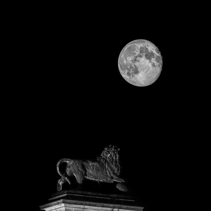 Black and white shot of the Lion on the top of the Butte du Lion (Waterloo, Belgium) over a stunning mountainous landscape 