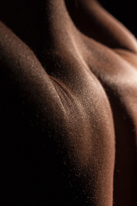 Close up abstract body photography using shadows and light