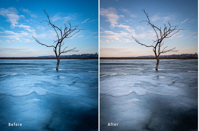 Before-and-after shots showing two different color temperatures of a barren tree in a sparse landscape