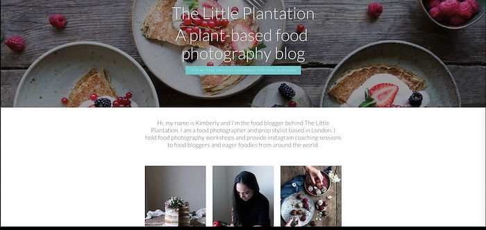 A screenshot from the Little Plantation blog