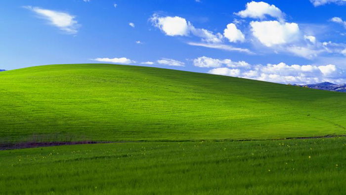 'Bliss” the default wallpaper for Windows XP, captured by Charles O'Rear in 1996