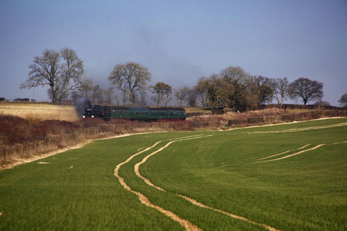 A steam train driving through a luscious green countryside