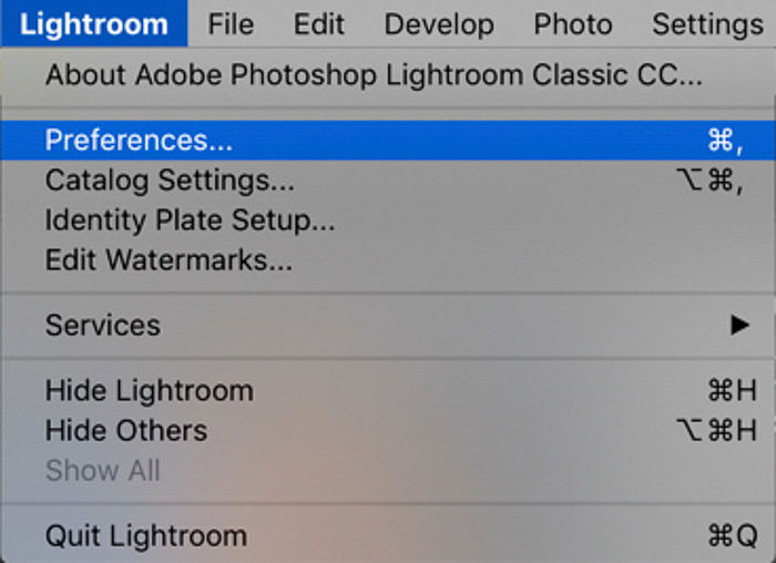 A screenshot showing how to organize photos in lightroom