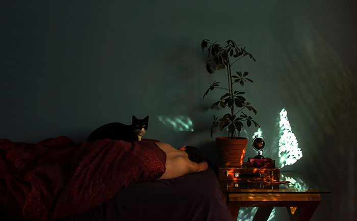 A cat sitting on a person lying in bed with a plant beside them by fine art photographer Lucy Michaela