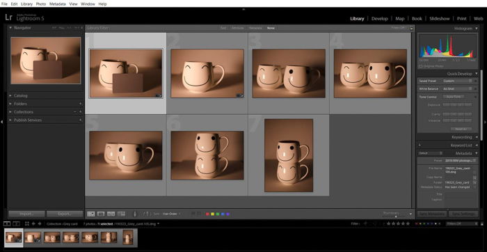 A screenshot showing how to use a grey card for color correction in Lightroom - import photos