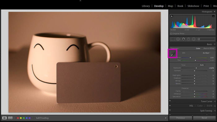 A screenshot showing how to use a grey card for color correction in Lightroom - select eyedropper tool