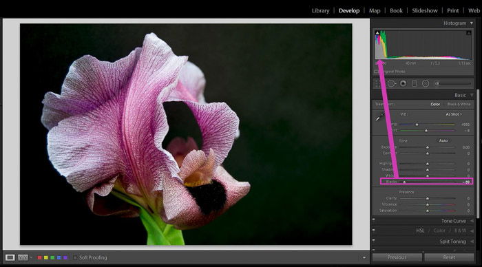 A screenshot showing how to use Lightroom's Shadows and Black Sliders for Better Control