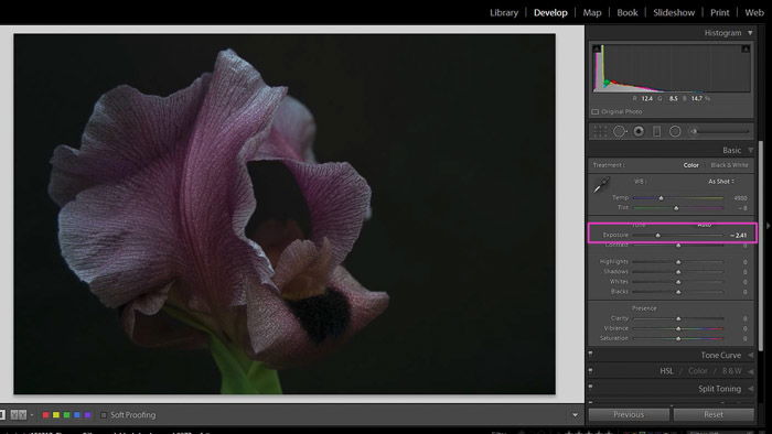 A screenshot of working with shadows and blacks in Lightroom - exposure slider