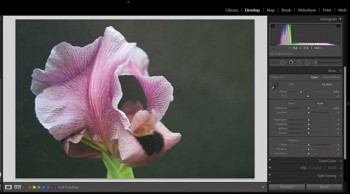 A screenshot of working with shadows and blacks in Lightroom - exposure slider