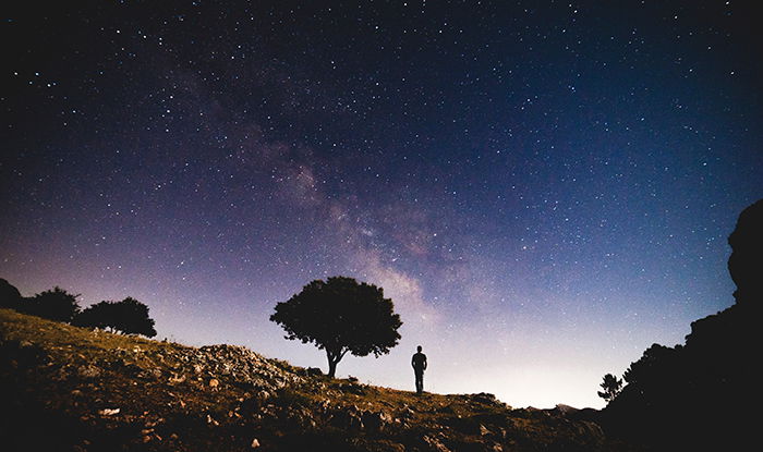 The silhouette of a tree and person under a starry sky, using gestalt theory of segregation as a composition tool