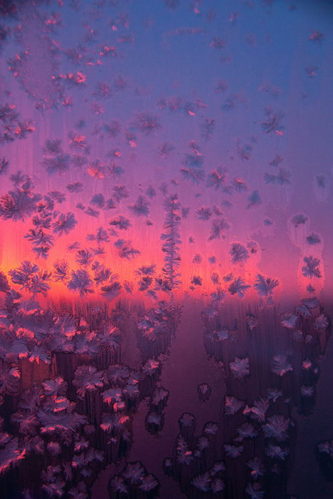 Dreamy photo of pink and purple light behind patterned glass